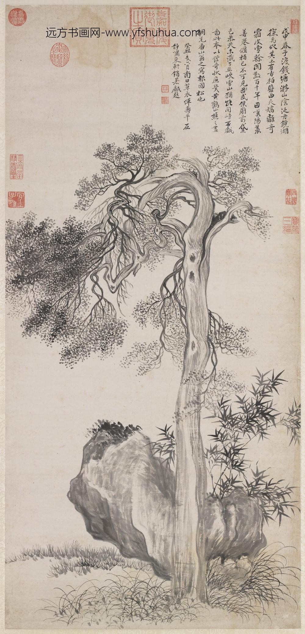 清恽寿平画禹穴古柏轴