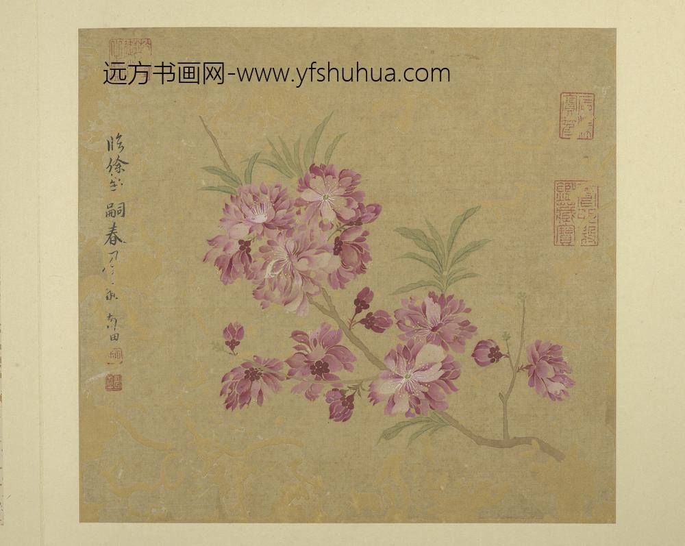 清恽寿平画花卉册临徐崇嗣春风图