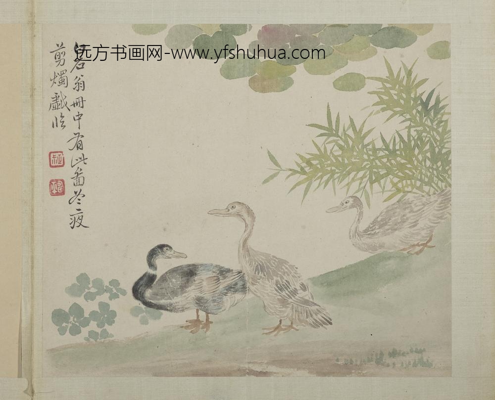 清恽寿平画花卉册临沈周画鹅