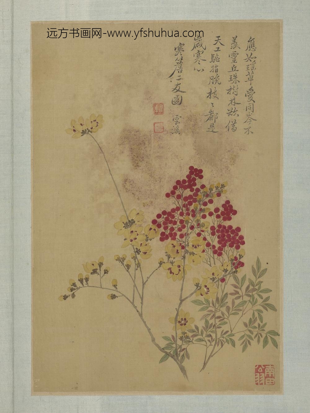 清恽寿平画花卉册寒檐二友图