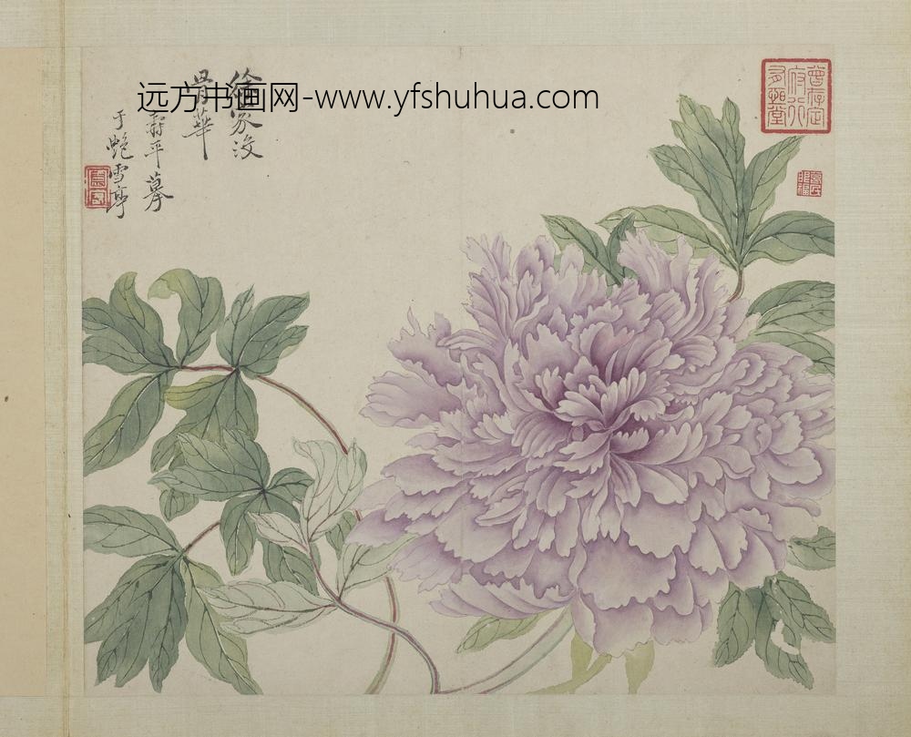 清恽寿平画花卉册徐家没骨华