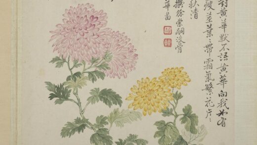 清恽寿平画花卉册拟徐崇嗣没骨华.jpg
