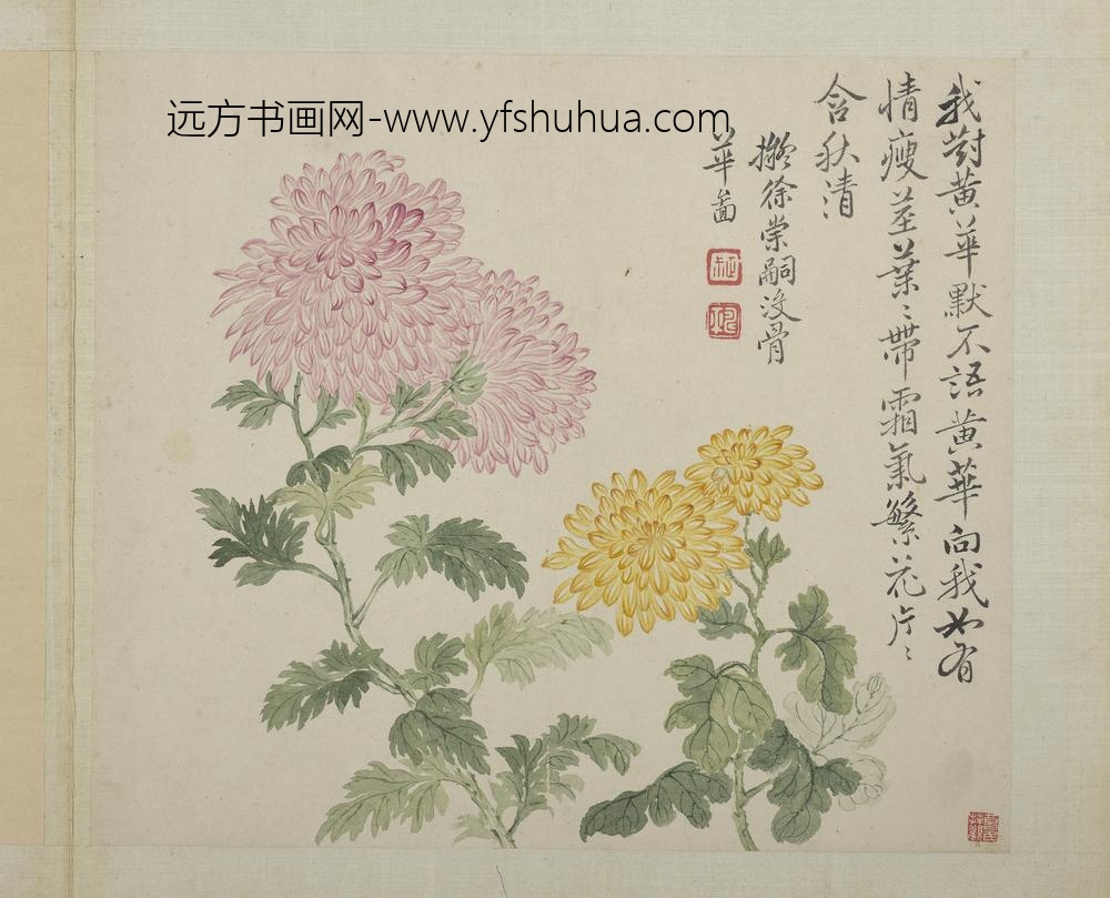 清恽寿平画花卉册拟徐崇嗣没骨华