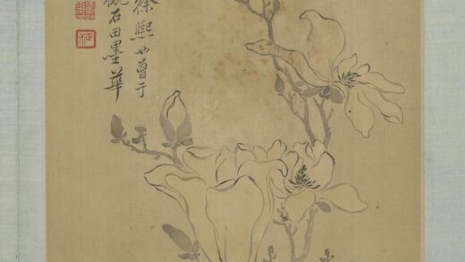 清恽寿平画花卉册木兰.jpg