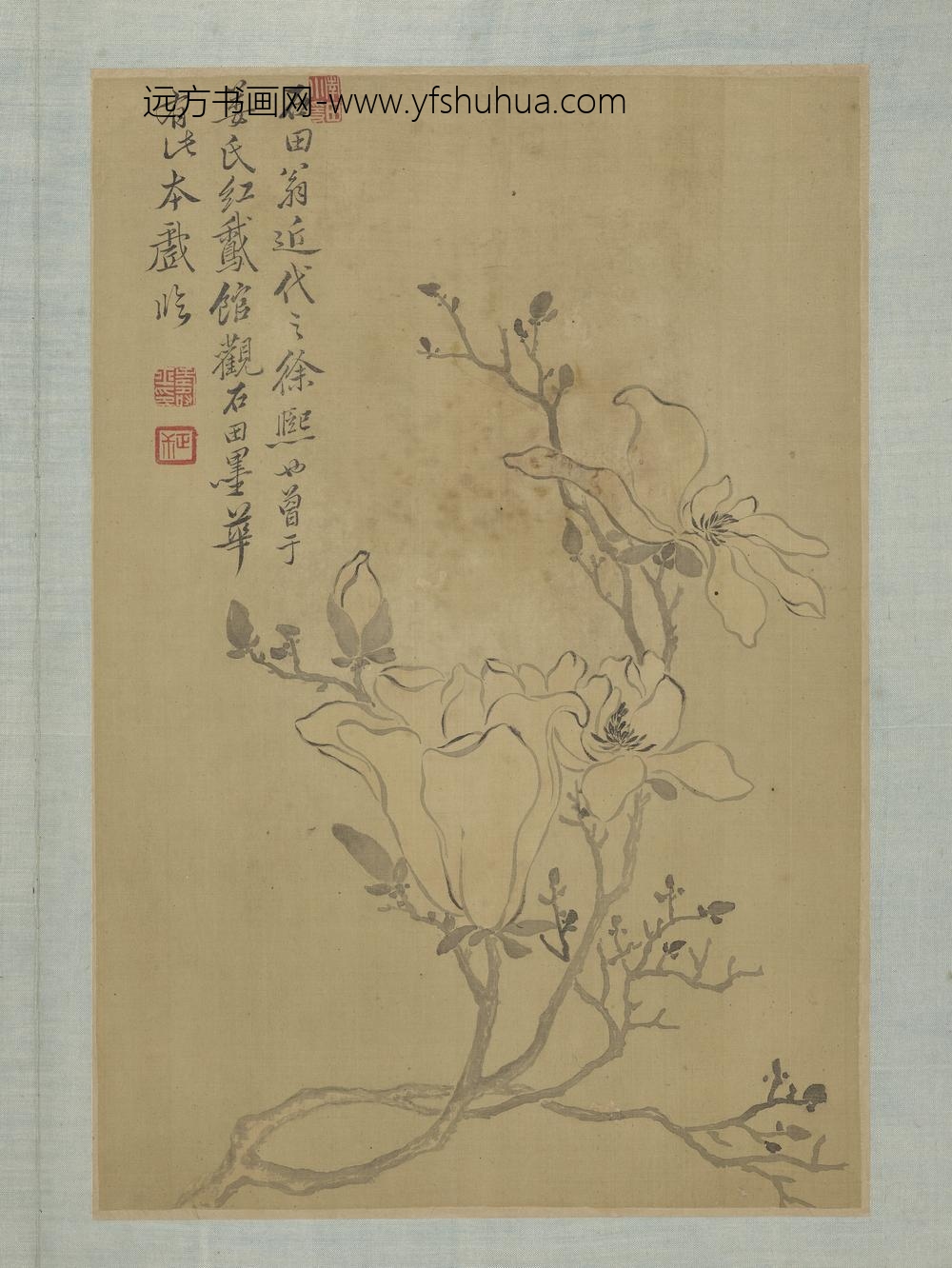 清恽寿平画花卉册木兰
