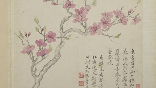 清恽寿平画花卉册杏花.jpg