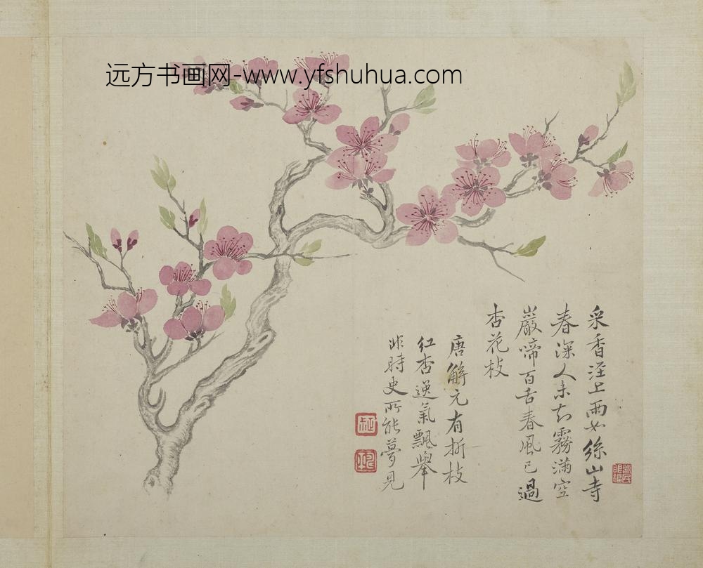 清恽寿平画花卉册杏花