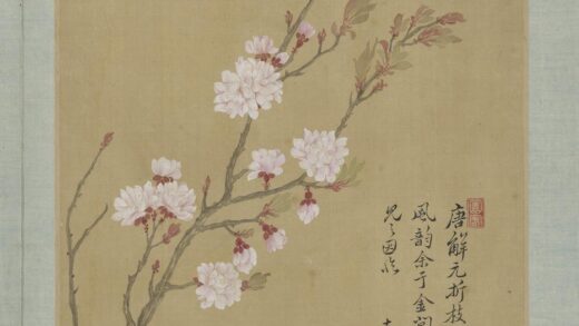 清恽寿平画花卉册杏花.jpg