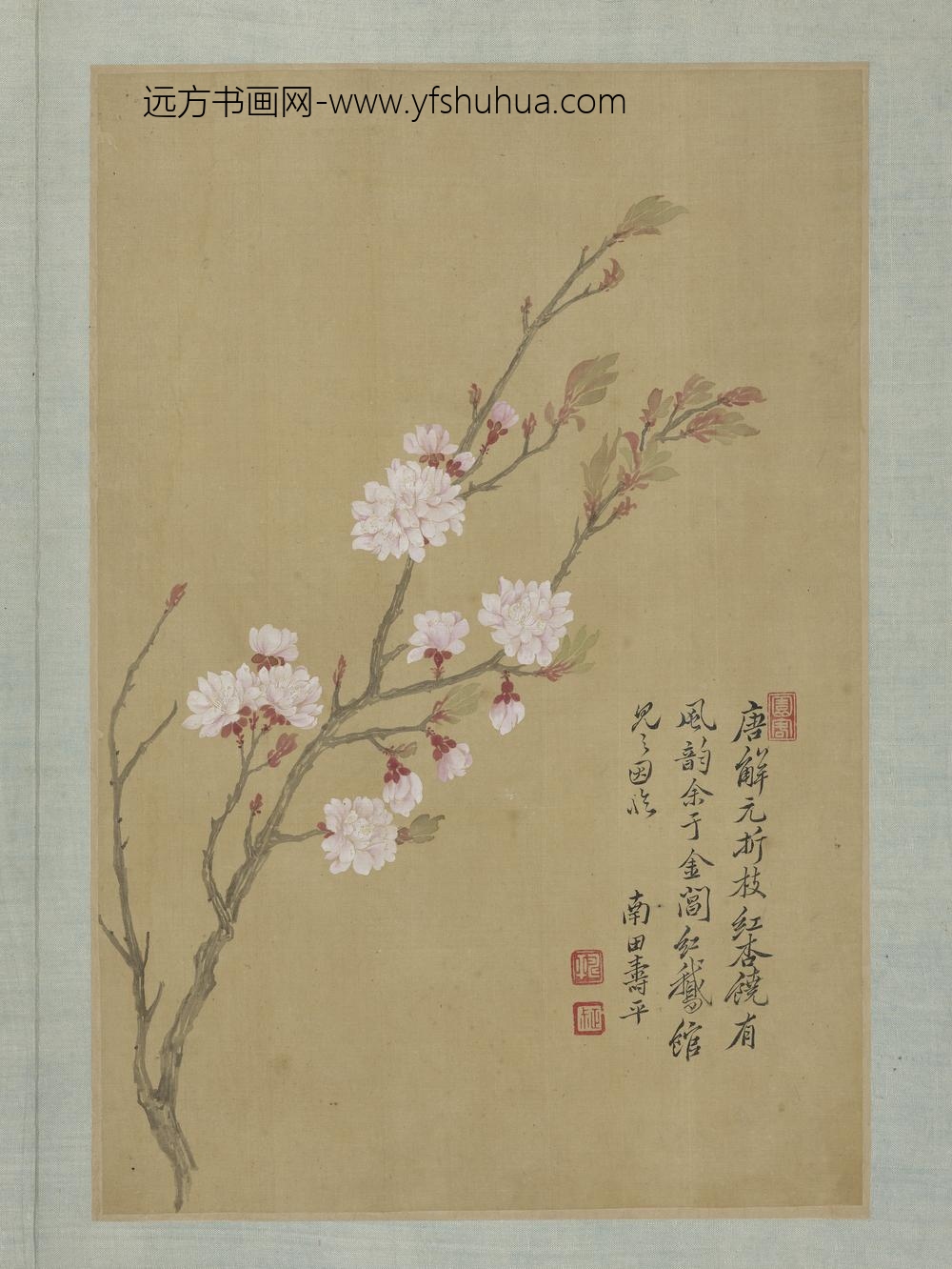 清恽寿平画花卉册杏花