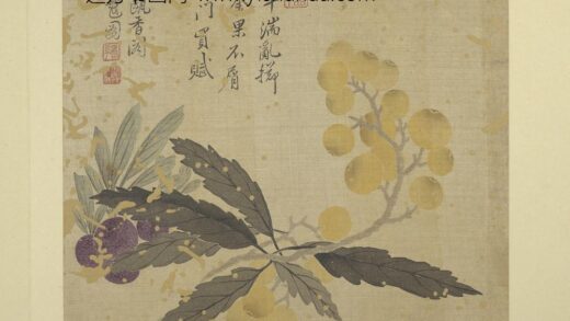 清恽寿平画花卉册枇杷.jpg