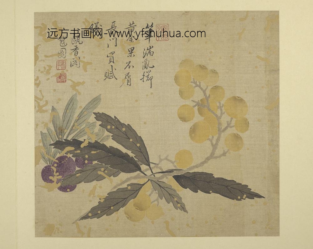 清恽寿平画花卉册枇杷