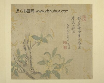 清恽寿平画花卉册桂花.jpg