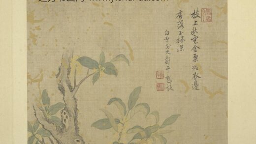 清恽寿平画花卉册桂花.jpg