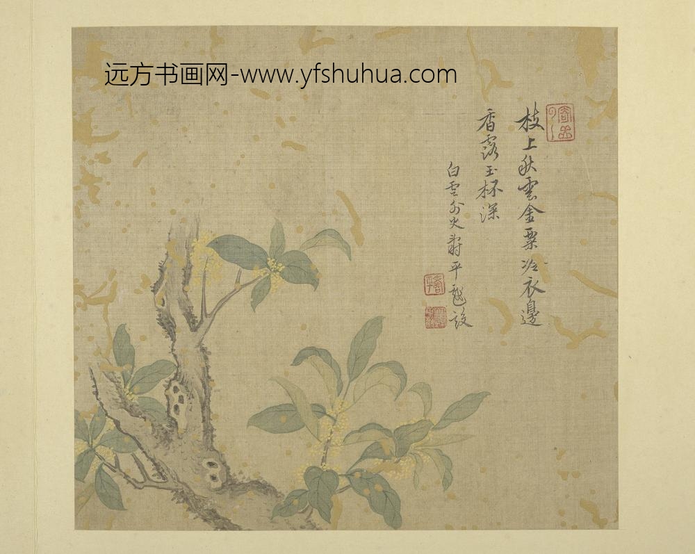 清恽寿平画花卉册桂花
