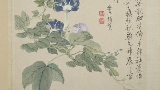 清恽寿平画花卉册牛郎花.jpg