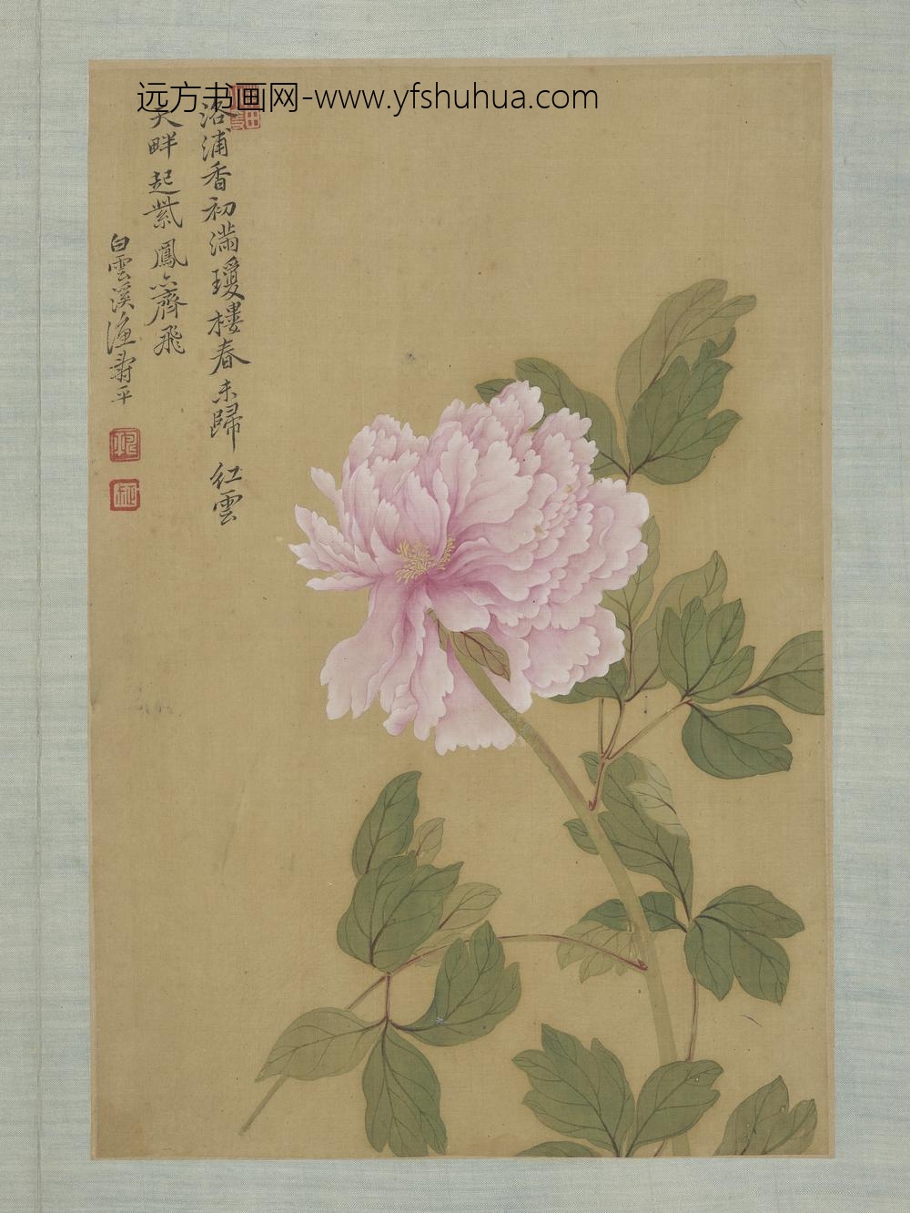 清恽寿平画花卉册牡丹
