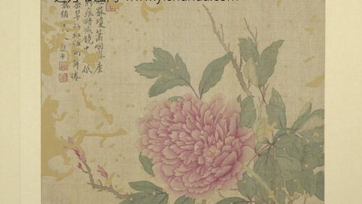 清恽寿平画花卉册牡丹.jpg