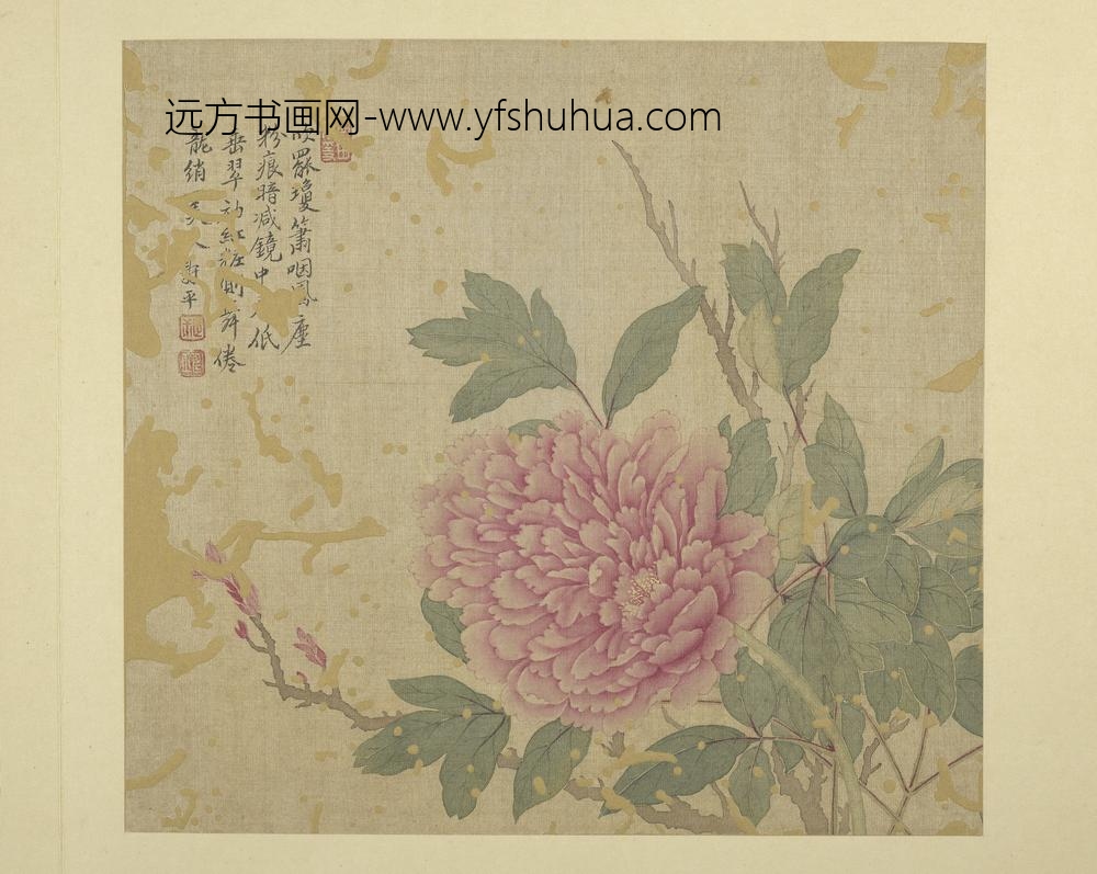 清恽寿平画花卉册牡丹