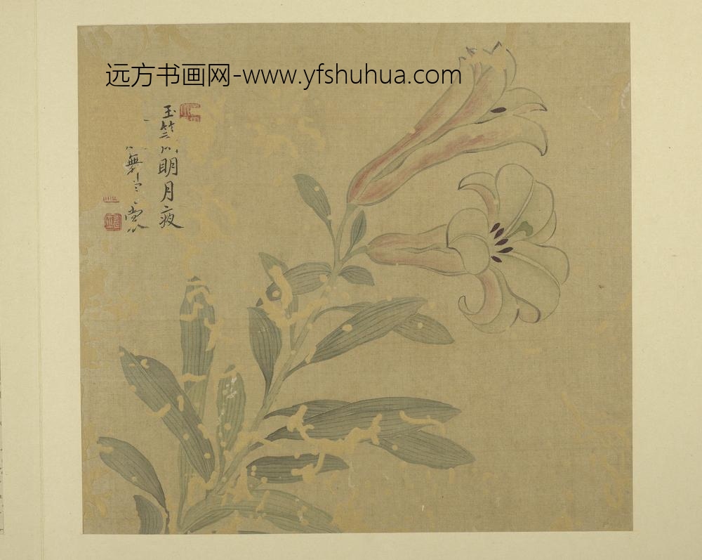 清恽寿平画花卉册百合