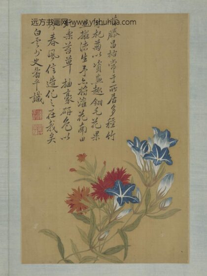 清恽寿平画花卉册石竹牵牛花.jpg
