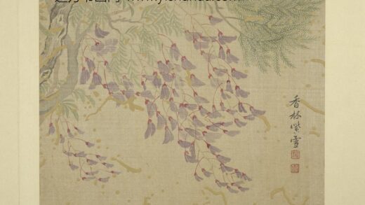 清恽寿平画花卉册紫藤.jpg