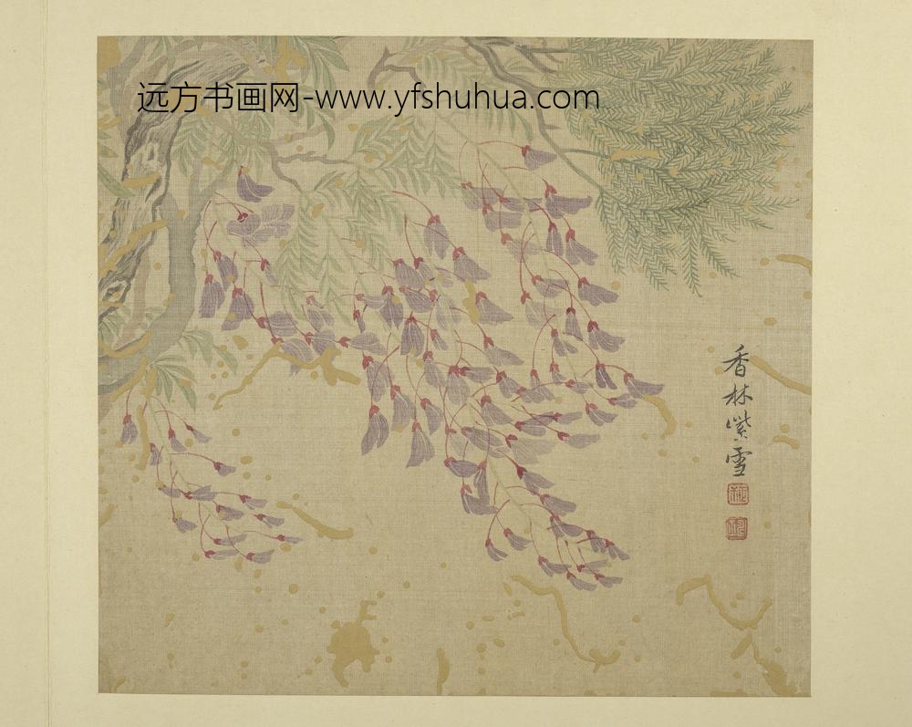 清恽寿平画花卉册紫藤