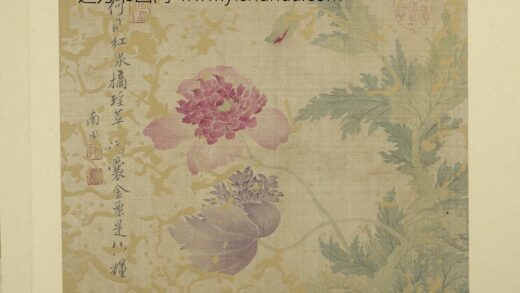 清恽寿平画花卉册罂粟.jpg
