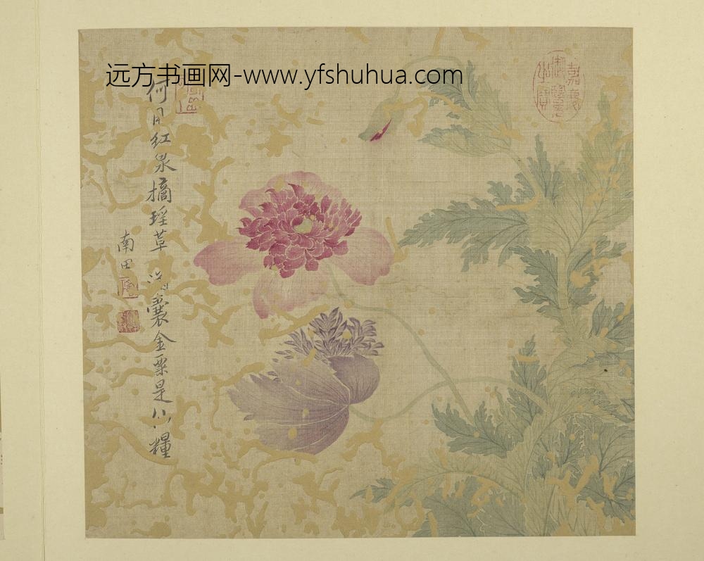 清恽寿平画花卉册罂粟