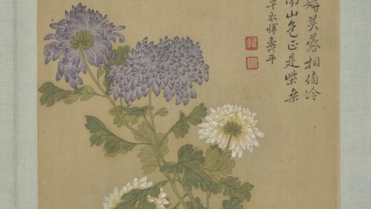 清恽寿平画花卉册菊花.jpg
