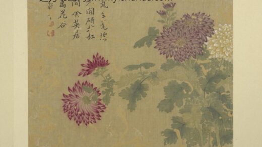 清恽寿平画花卉册菊花.jpg