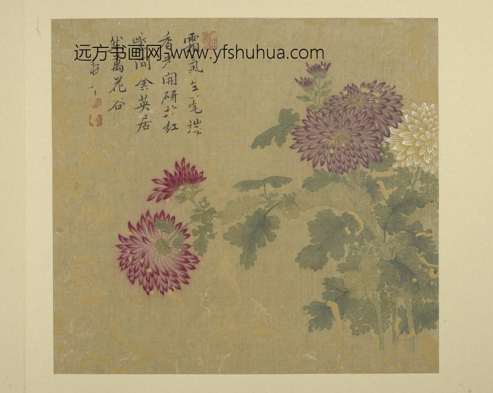 清恽寿平画花卉册菊花