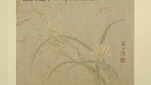 清恽寿平画花卉册萱花.jpg