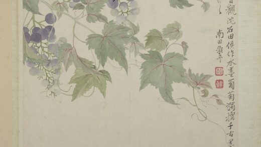 清恽寿平画花卉册葡萄.jpg