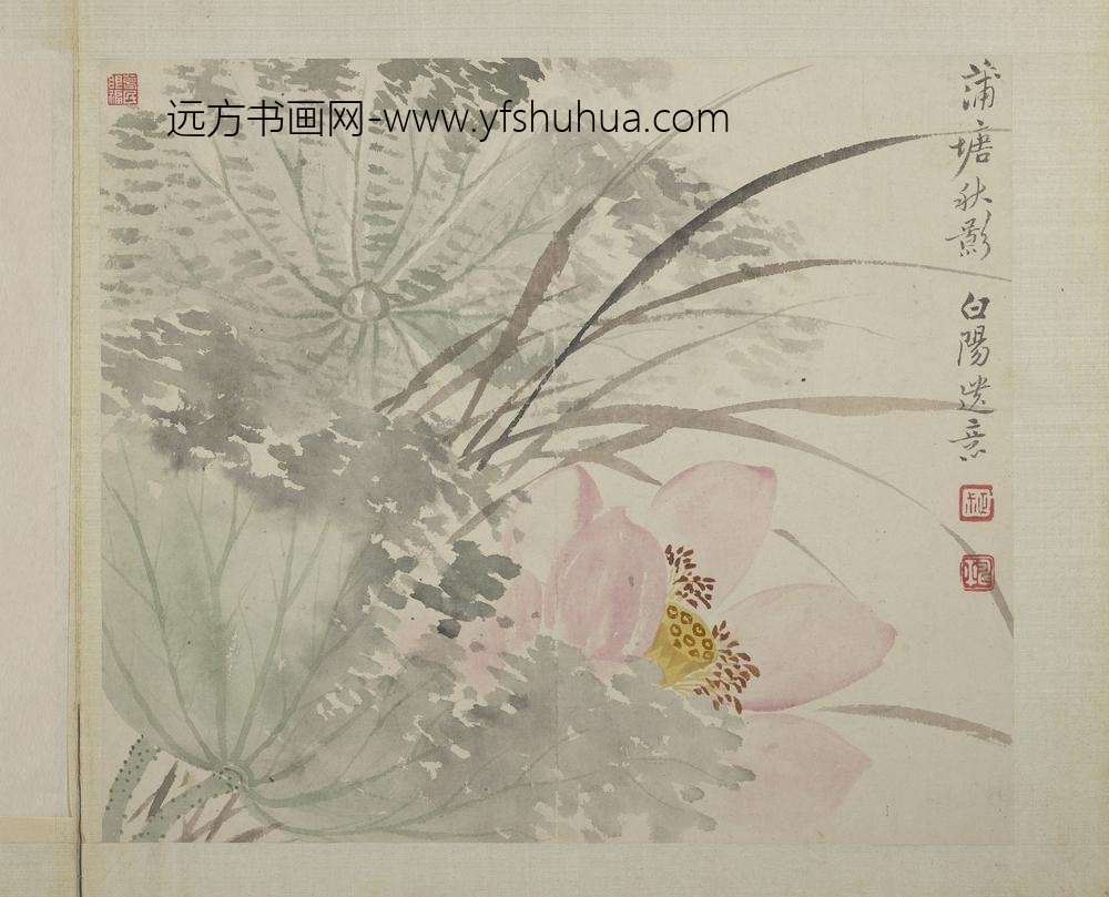 清恽寿平画花卉册蒲塘秋影