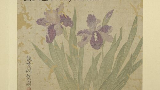 清恽寿平画花卉册鸢尾.jpg