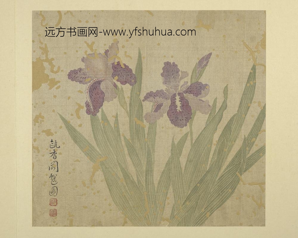 清恽寿平画花卉册鸢尾