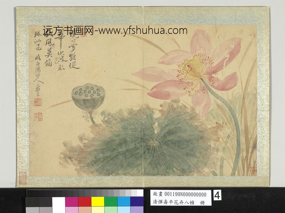 清恽寿平花卉八帧册临白阳山人