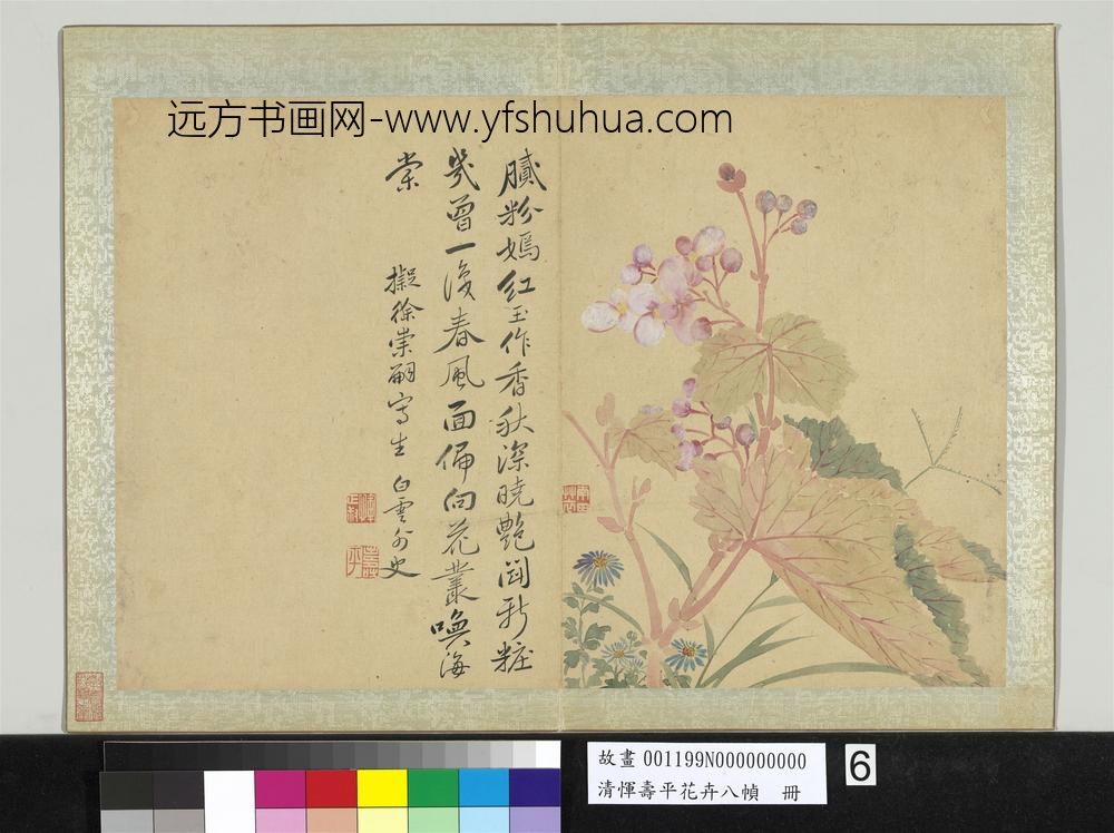 清恽寿平花卉八帧册拟徐崇嗣写生