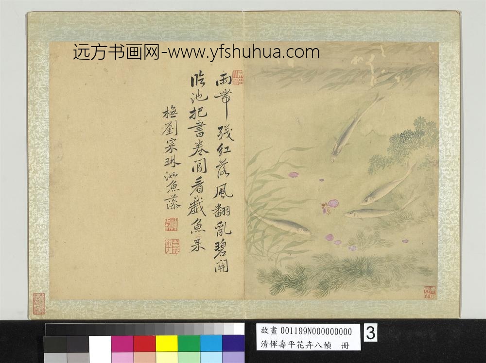 清恽寿平花卉八帧册橅刘寀琳池鱼藻