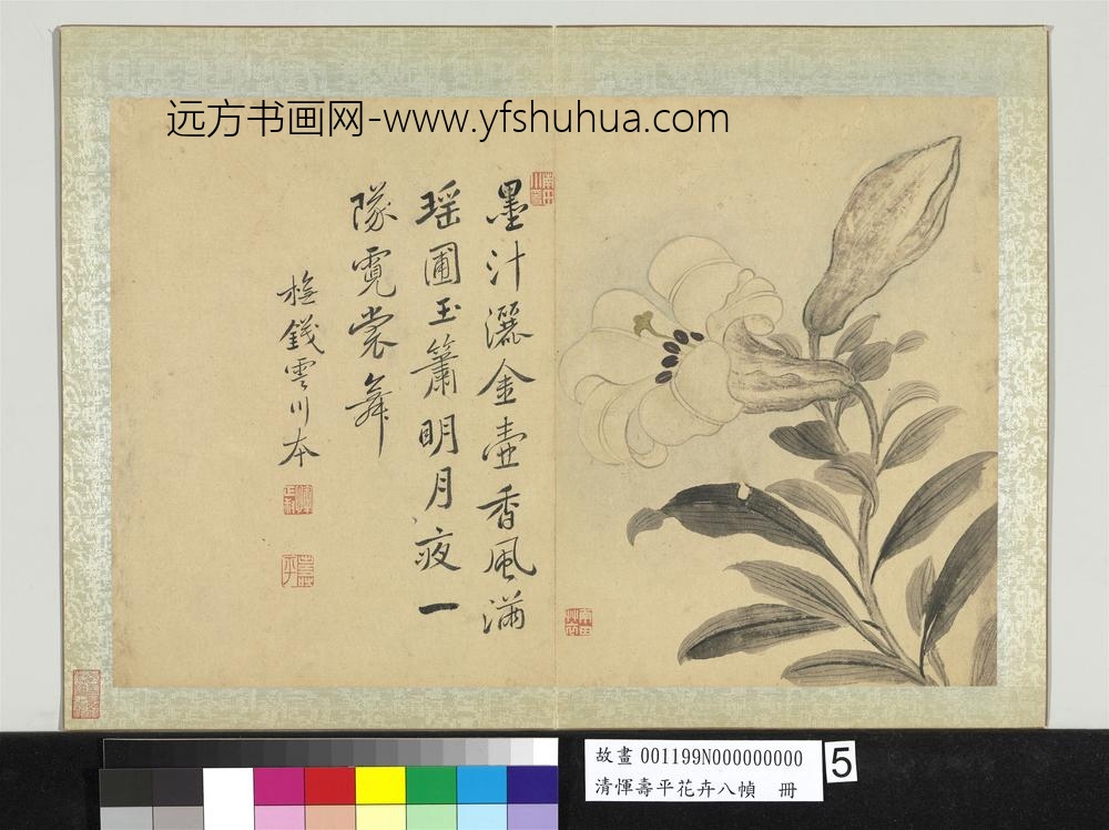 清恽寿平花卉八帧册橅钱霅川本