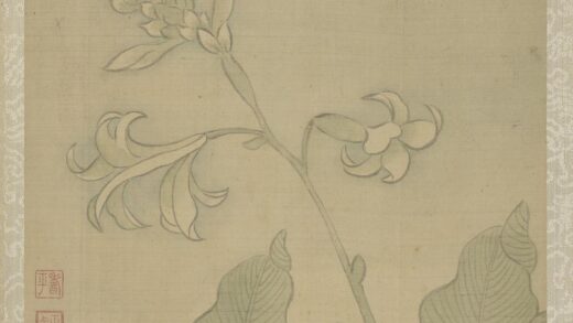 清恽寿平鱼藻图册玉簪花.jpg