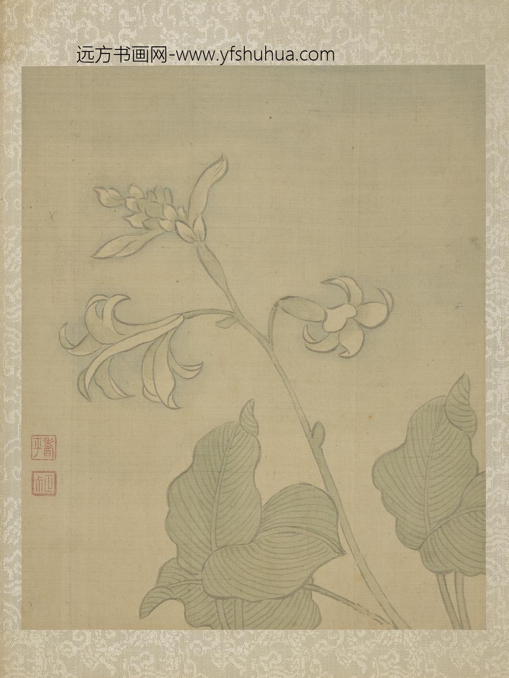 清恽寿平鱼藻图册玉簪花