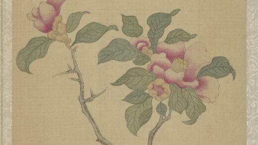 清恽寿平鱼藻图册茶花.jpg