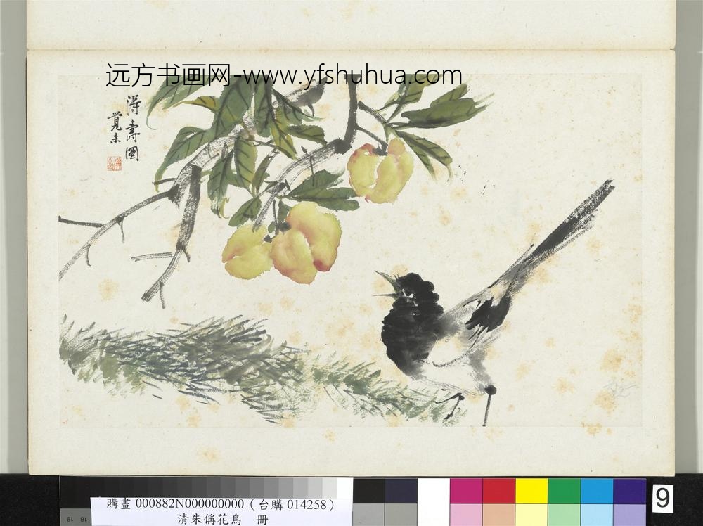 清朱偁花鸟册桃子山雀