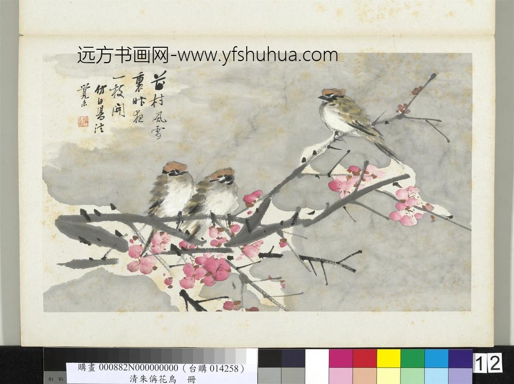 清朱偁花鸟册梅花麻雀