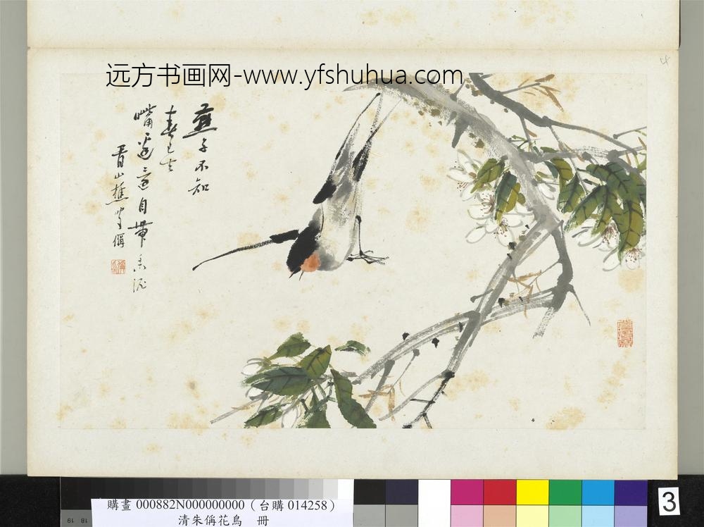 清朱偁花鸟册梨花燕子