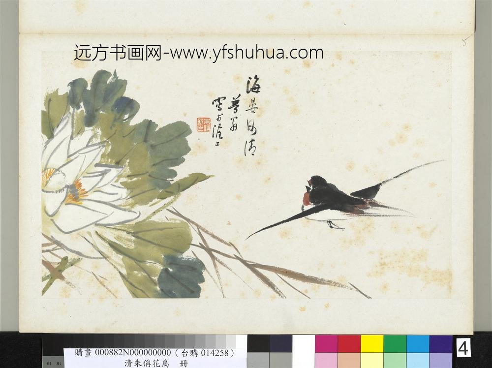清朱偁花鸟册荷花燕子