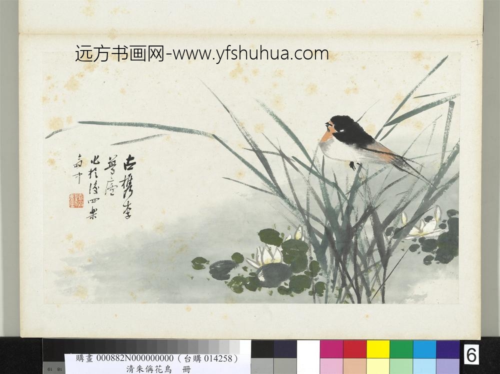 清朱偁花鸟册莲花燕子