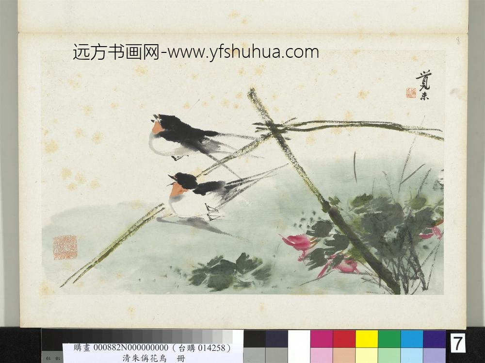 清朱偁花鸟册菱角燕子