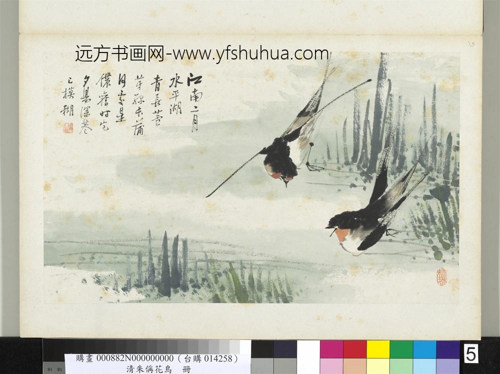 清朱偁花鸟册蒲草燕子